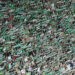 On Tour : Dans le Kop Nord de Geoffroy-Guichard