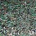 On Tour : Dans le Kop Nord de Geoffroy-Guichard