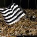 Partizan Belgrade: les supporters règlent leurs comptes dans une lettre