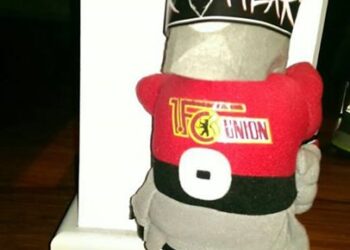 Allemagne : Des supporters kidnappent la mascotte de leur club