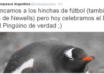 Greenpeace fâche les fans de Newell’s