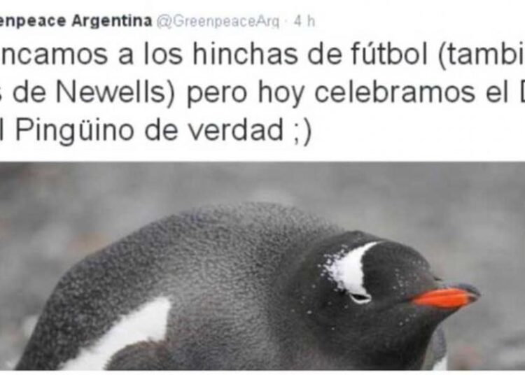 Greenpeace fâche les fans de Newell’s