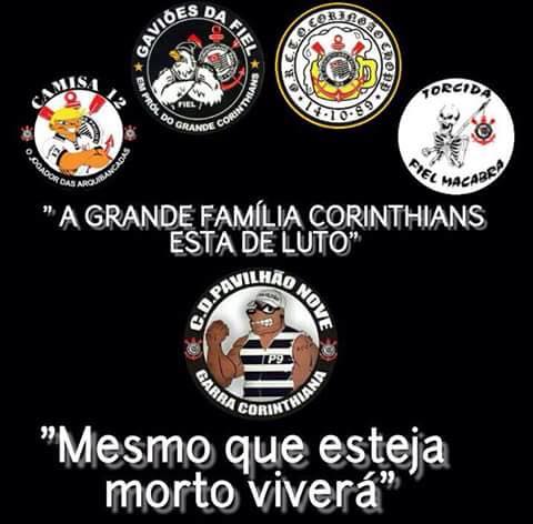 torcidas organizadas association de supporters brésil