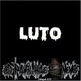 torcidas organizadas association de supporters brasil