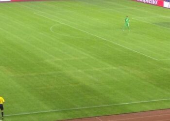 Croatie-Italie : une croix gammée dessinée sur la pelouse