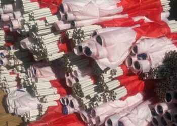 Copa América : les drapeaux argentins interdits pour la finale