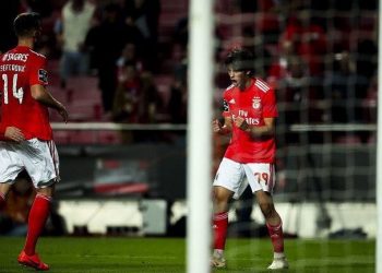 Comment la paire João Felix-Seferović porte Benfica